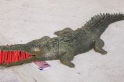 Krokodil