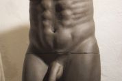 Männer Torso